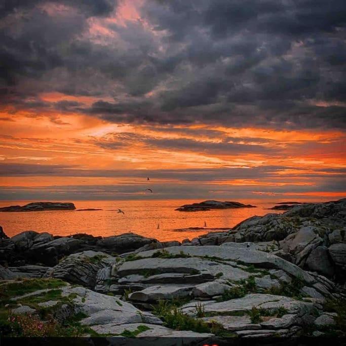 Close To Sea, Central, Rent A Boat, Mountain Hike, Wifi, Free Parking Haug Екстериор снимка